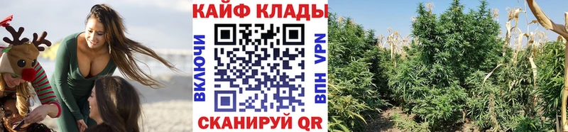 Как найти наркотики Печоры СК  Марихуана  МЕФ  АМФ  Cocaine  Бутират  ГАШ 